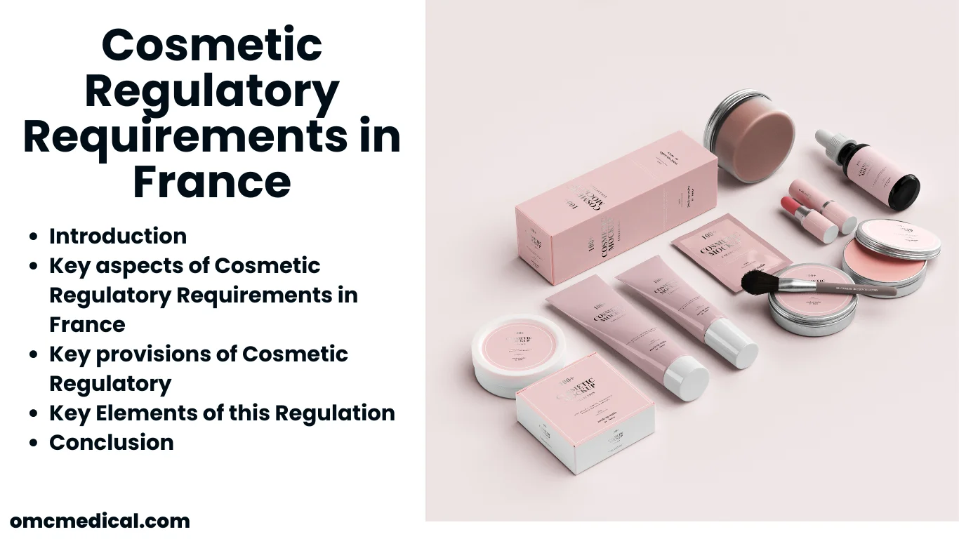 Cosmetic Regulatory Requirements in France