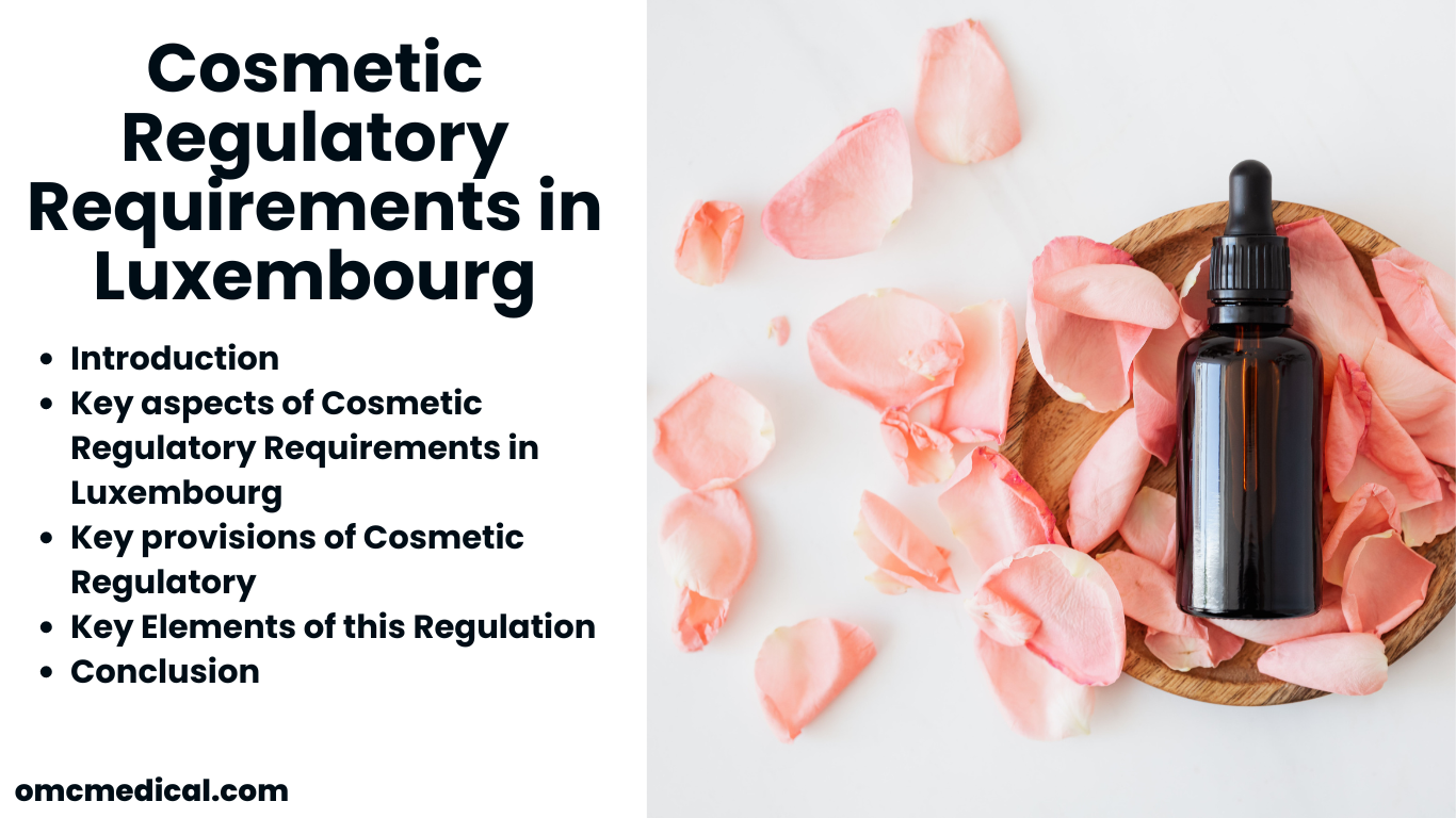 Cosmetic Regulatory Requirements in Luxembourg